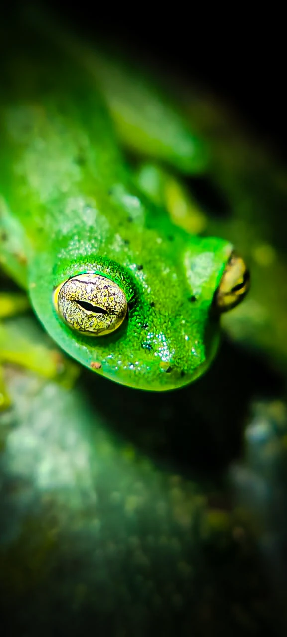 3-WhatsApp Image 2026-03-01 at 3