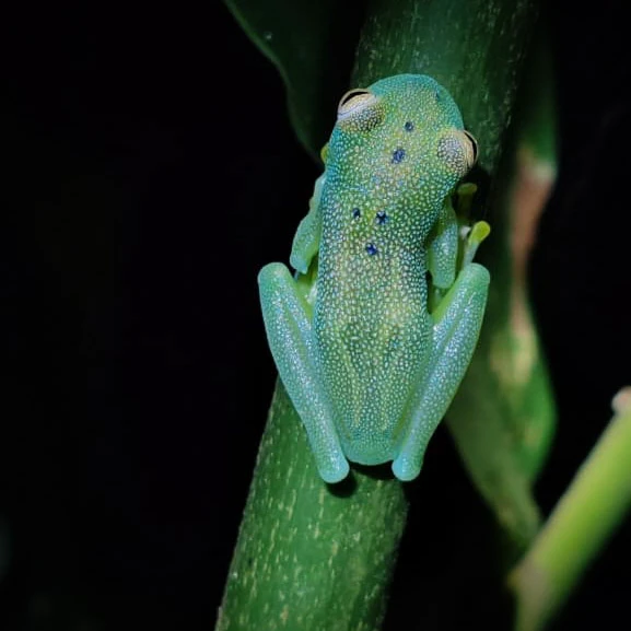 4-WhatsApp Image 2026-03-01 at 3