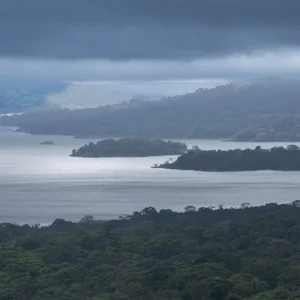 Combo: Arenal Observatory Birding + Sloths