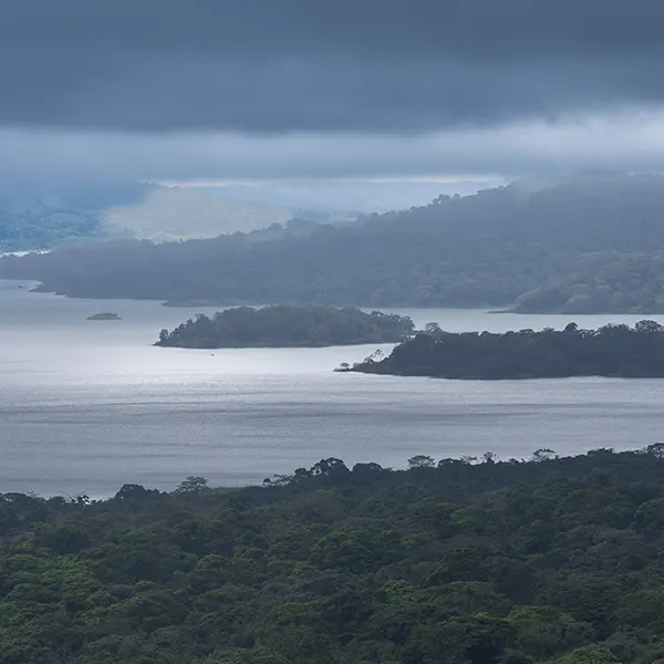 Combo: Arenal Observatory Birding + Sloths