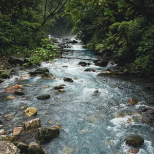 Blue Falls & El Toro Waterfall Experience