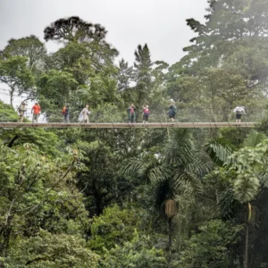 Mistico Hanging Bridges