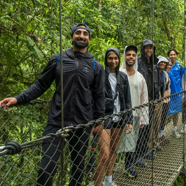 Mistico Hanging Bridges - Image 4