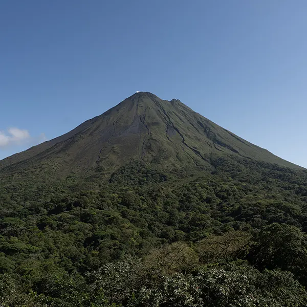 Combo: Arenal Observatory Birding + Sloths - Image 4