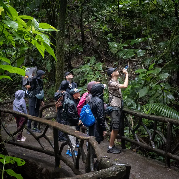 Mistico Hanging Bridges - Image 9