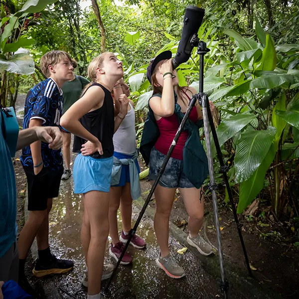 Combo: Arenal Observatory Birding + Sloths - Image 8