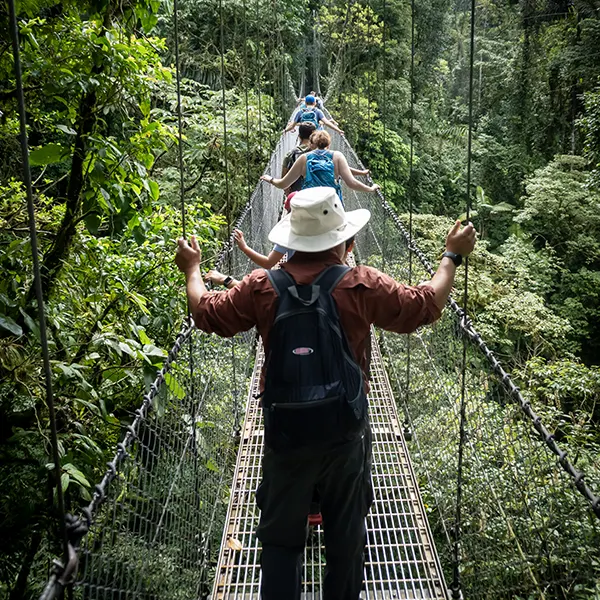 Mistico Hanging Bridges - Image 8
