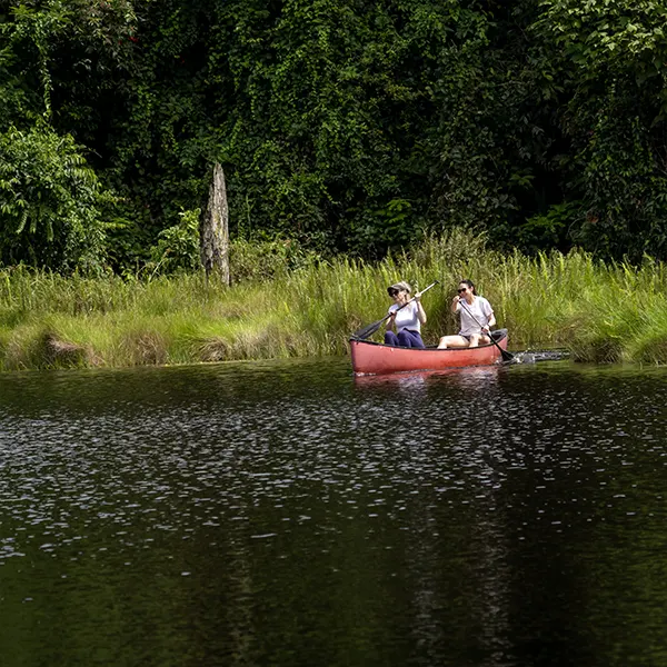 Boca Tapada Wetlands & Rainforest - Image 9